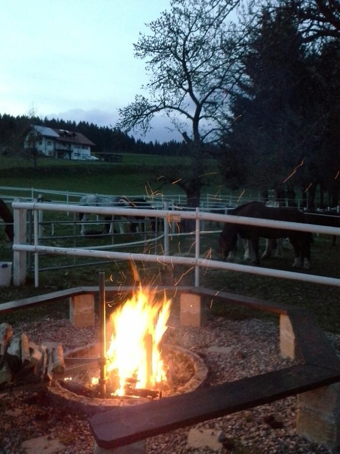 Gaestehaus Bartlehof Schluchsee Exteriér fotografie